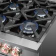 Forno - 60  Massimo 10-Sealed Burners Freestanding Dual Fuel Range in Stainless Steel Convention Oven Online